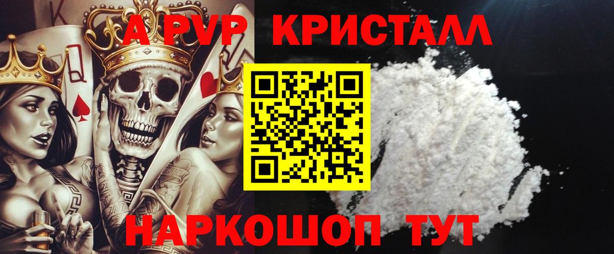Альфа ПВП СК Шебекино