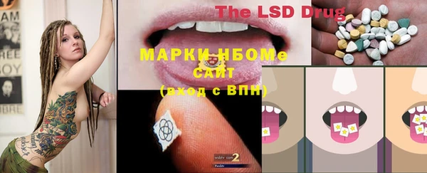 крисы Алексин