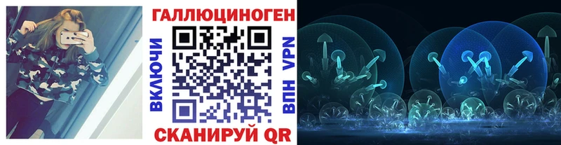Галлюциногенные грибы Psilocybe  Шебекино 