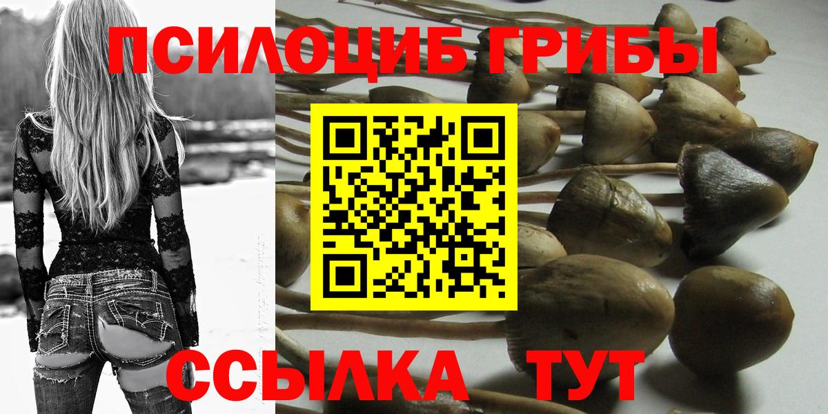 Псилоцибиновые грибы мицелий Шебекино